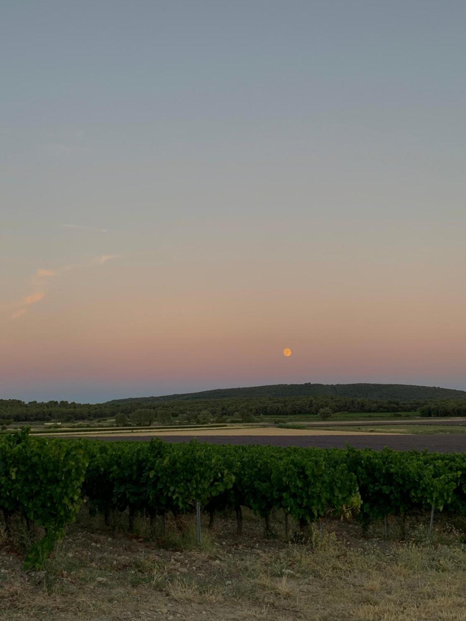 Mondragon Domaine Du Commandeur B&B 외부 사진