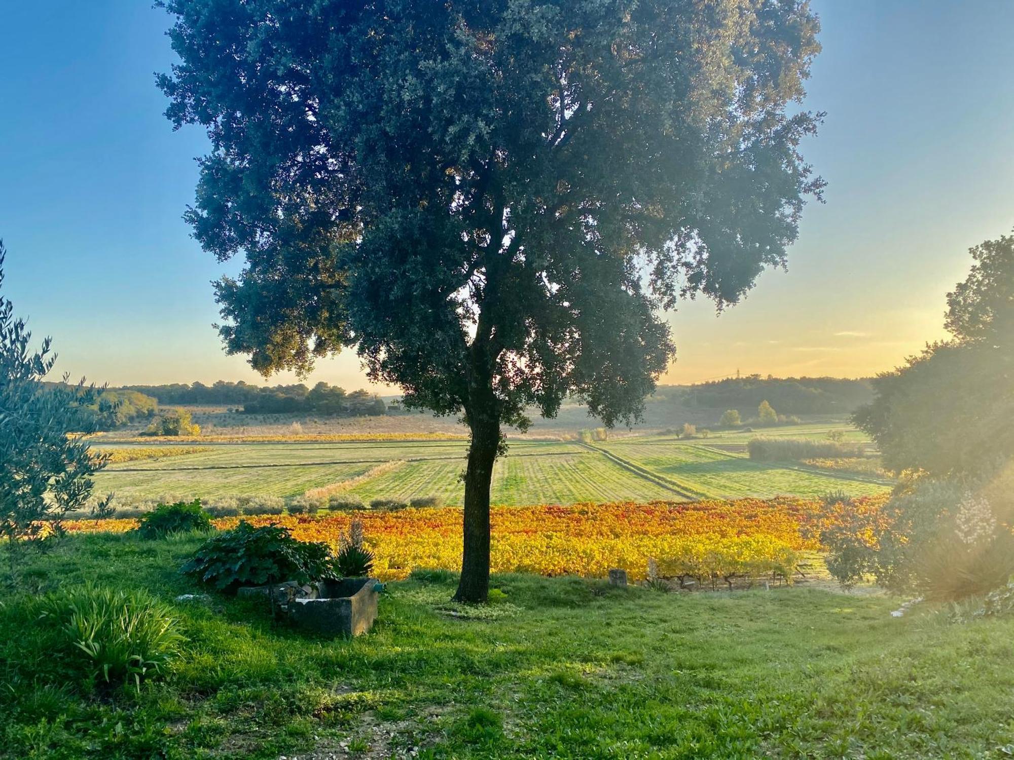 Mondragon Domaine Du Commandeur B&B 외부 사진